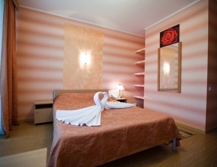 Номер стандарт с 1 двуспальной кроватью (корпус 1) - Санаторий «Волжанка» Сюктерка