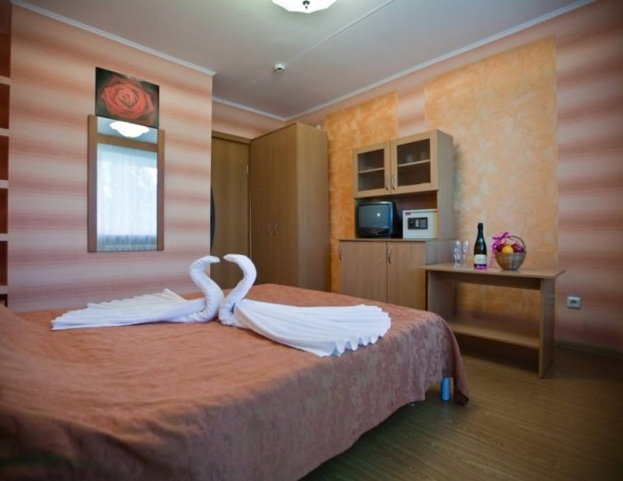Номер стандарт с 1 двуспальной кроватью (корпус 1) - Санаторий «Волжанка» Сюктерка