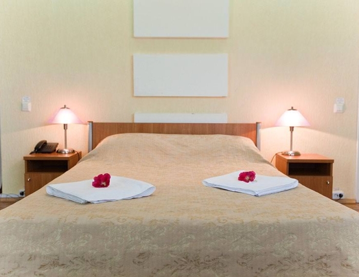 Номер студия с 1 двуспальной кроватью - Санаторий «Волжанка» Сюктерка