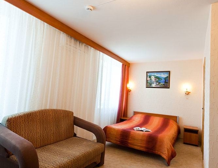 Номер стандарт с 1 двуспальной кроватью (корпус 2) - Санаторий «Волжанка» Сюктерка